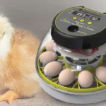 یو پی اس برای دستگاه جوجه کشی