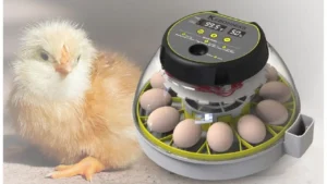 یو پی اس برای دستگاه جوجه کشی